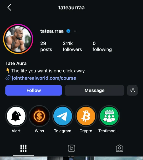 Instagram profile of a faceless course creator account